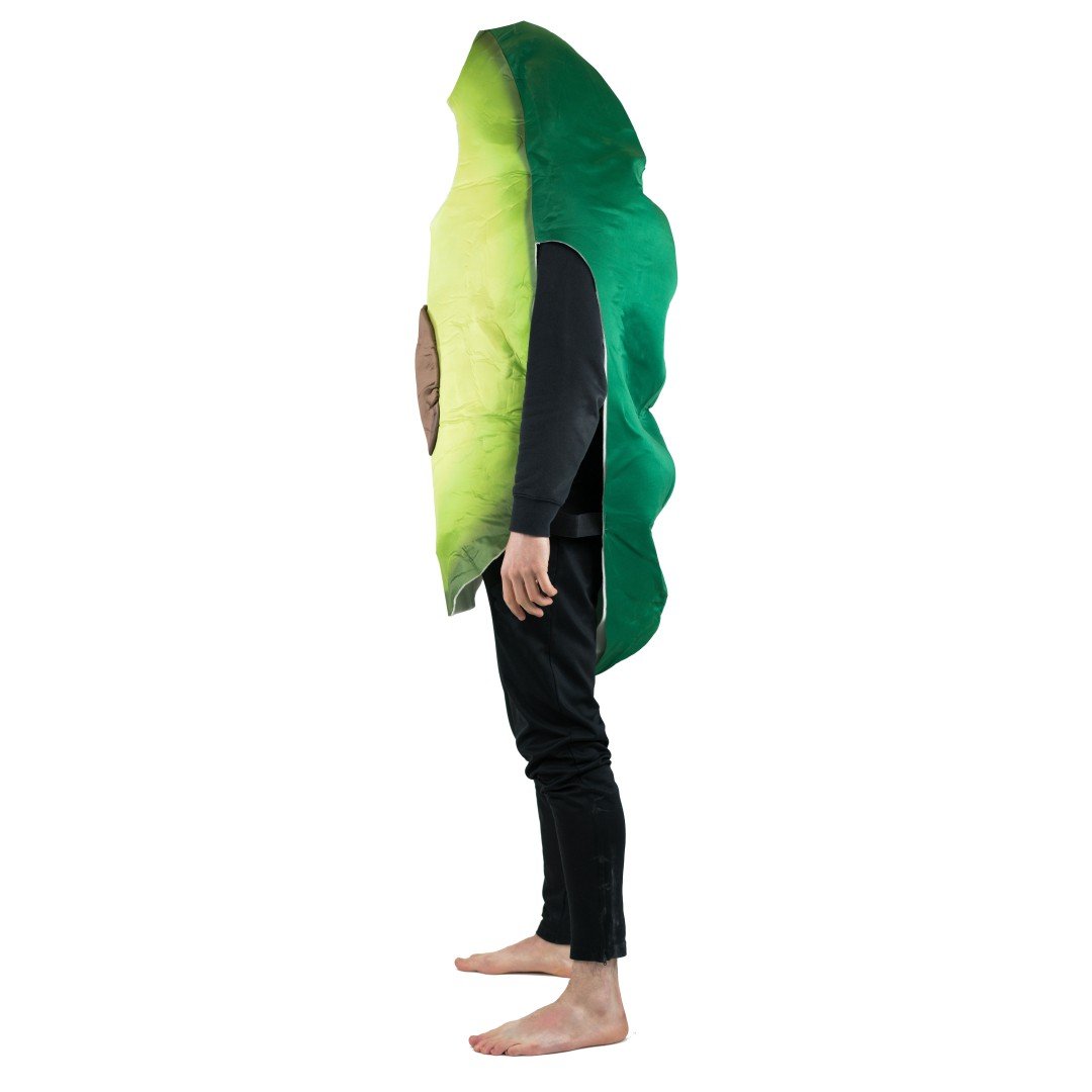 Bodysocks - Avocado Costume