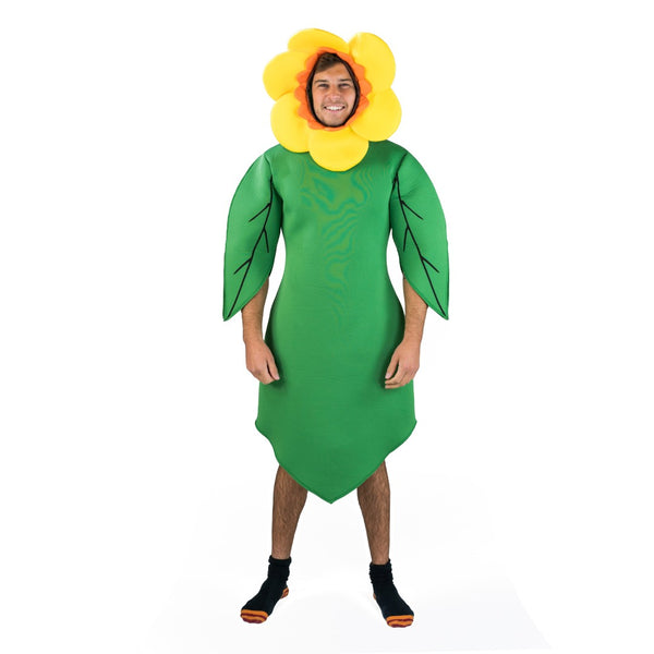 Original Costumes